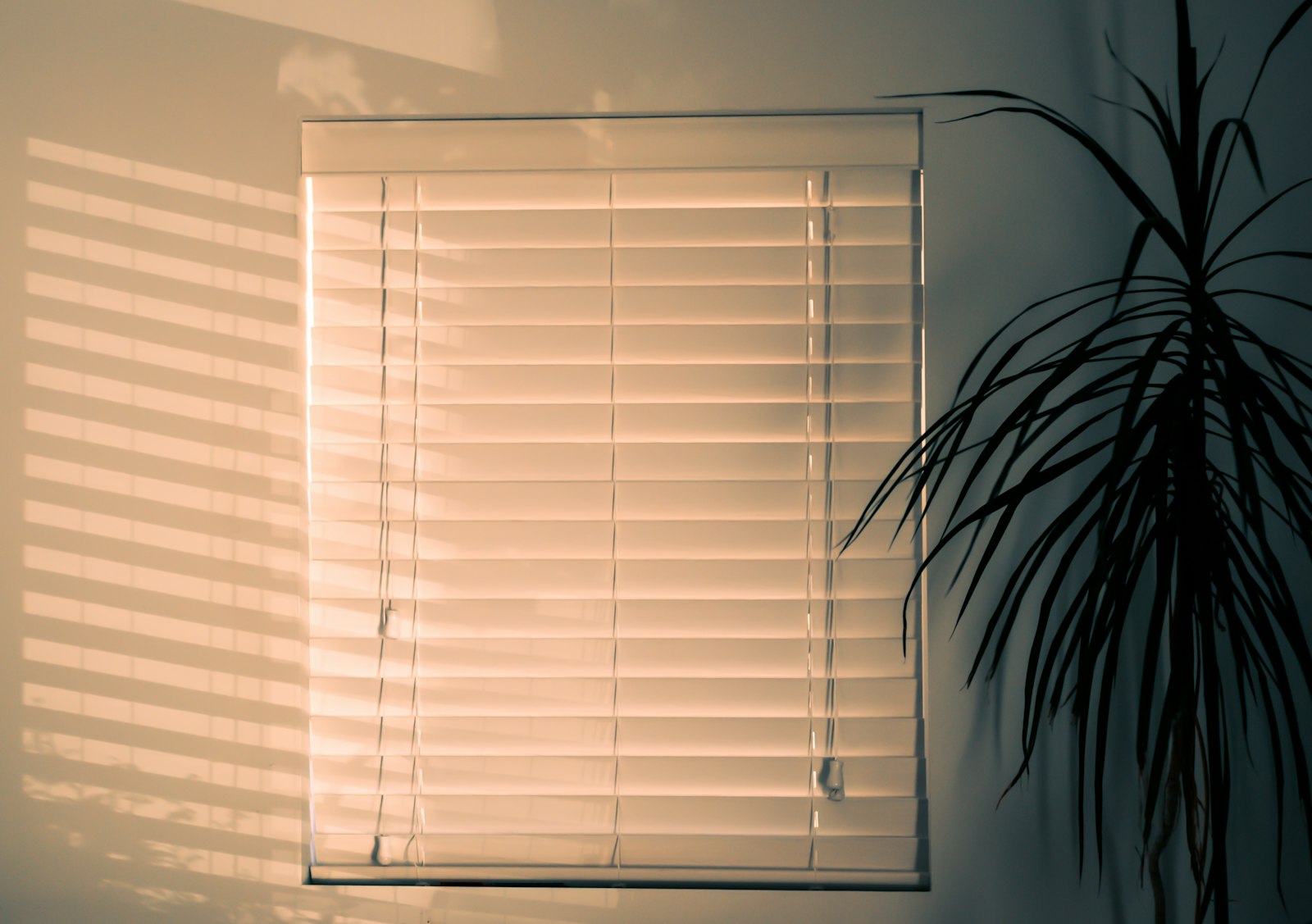 White faux-wood venetian blind casting warm sunset shadows across the wall